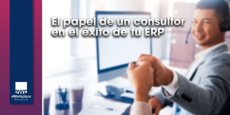 El papel del consultor ERP